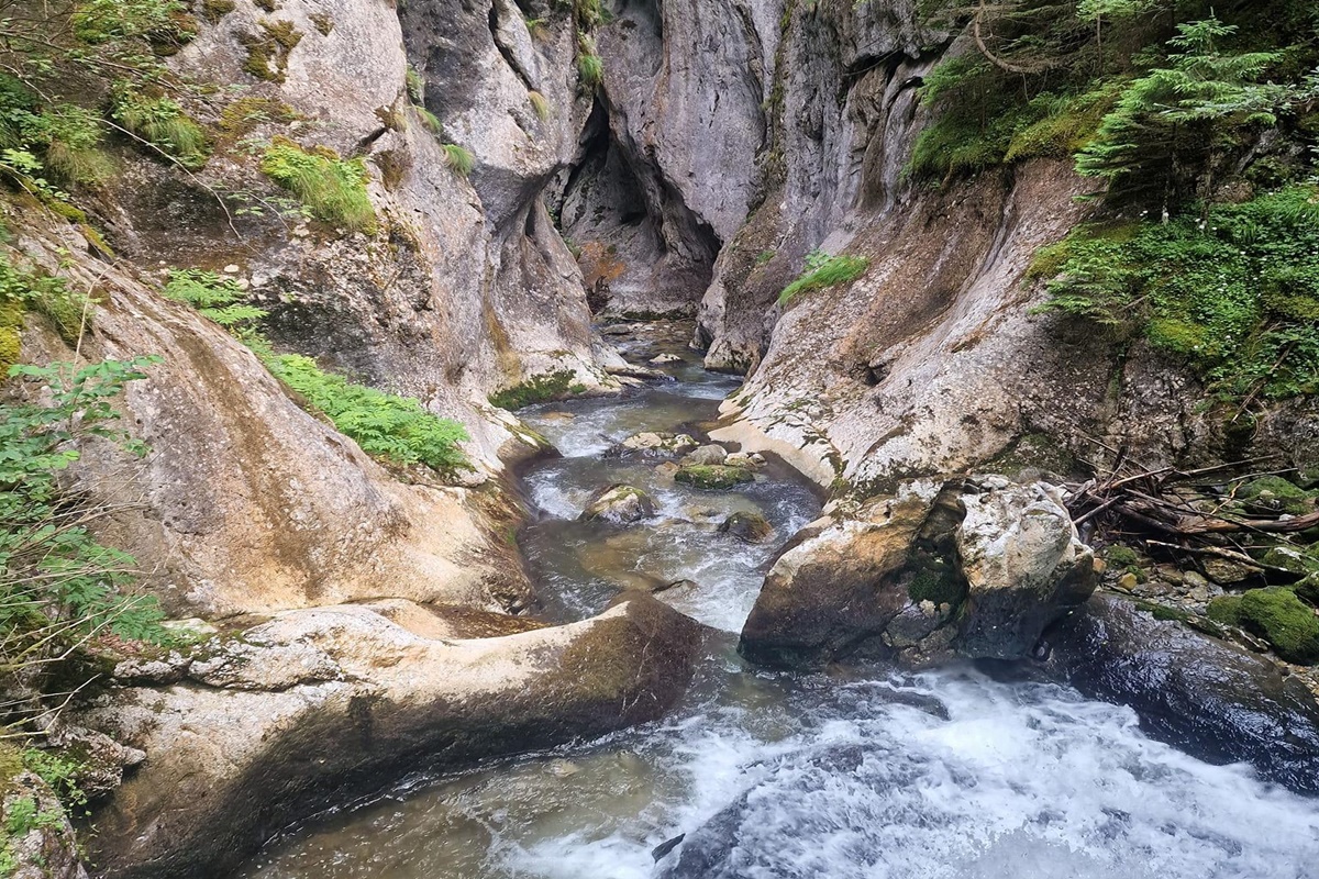 Butii Gorges | Hunedoara County